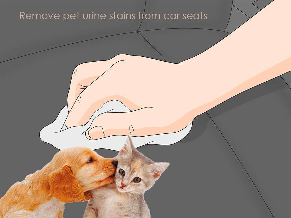 How to clean car seats - How do I remove pet urine stains from car seats